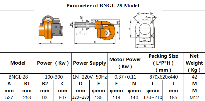 Gas And Light Oil Burner