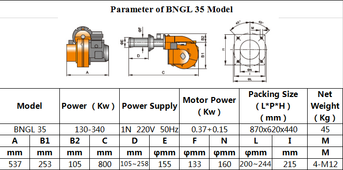 Gas And Light Oil Burner