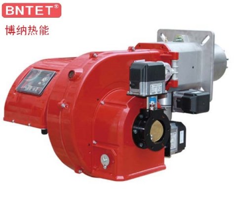 What are the maintenance precautions of low nitrogen burner before use in winter?