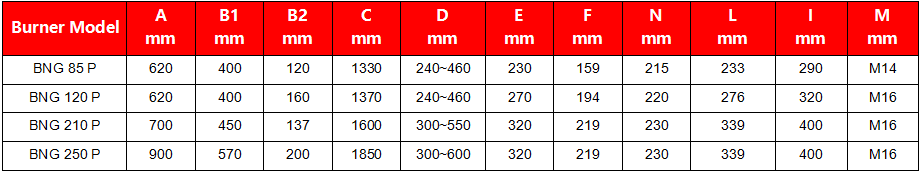 Gas Burner BNG 210250 P data sheet01.jpg