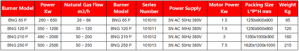 Gas Burner BNG 210250 P data sheet02.jpg