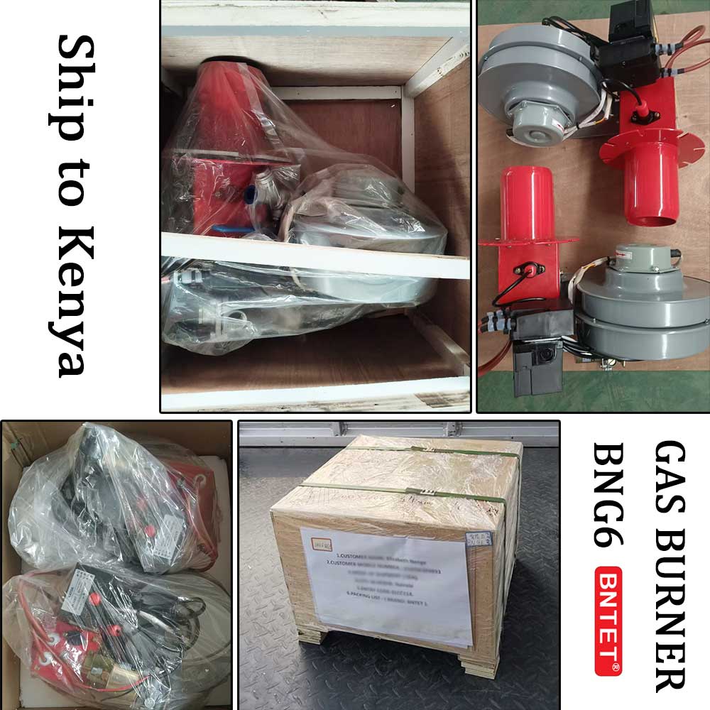 High-Efficiency BNG6 Compact Gas Burner Exported t